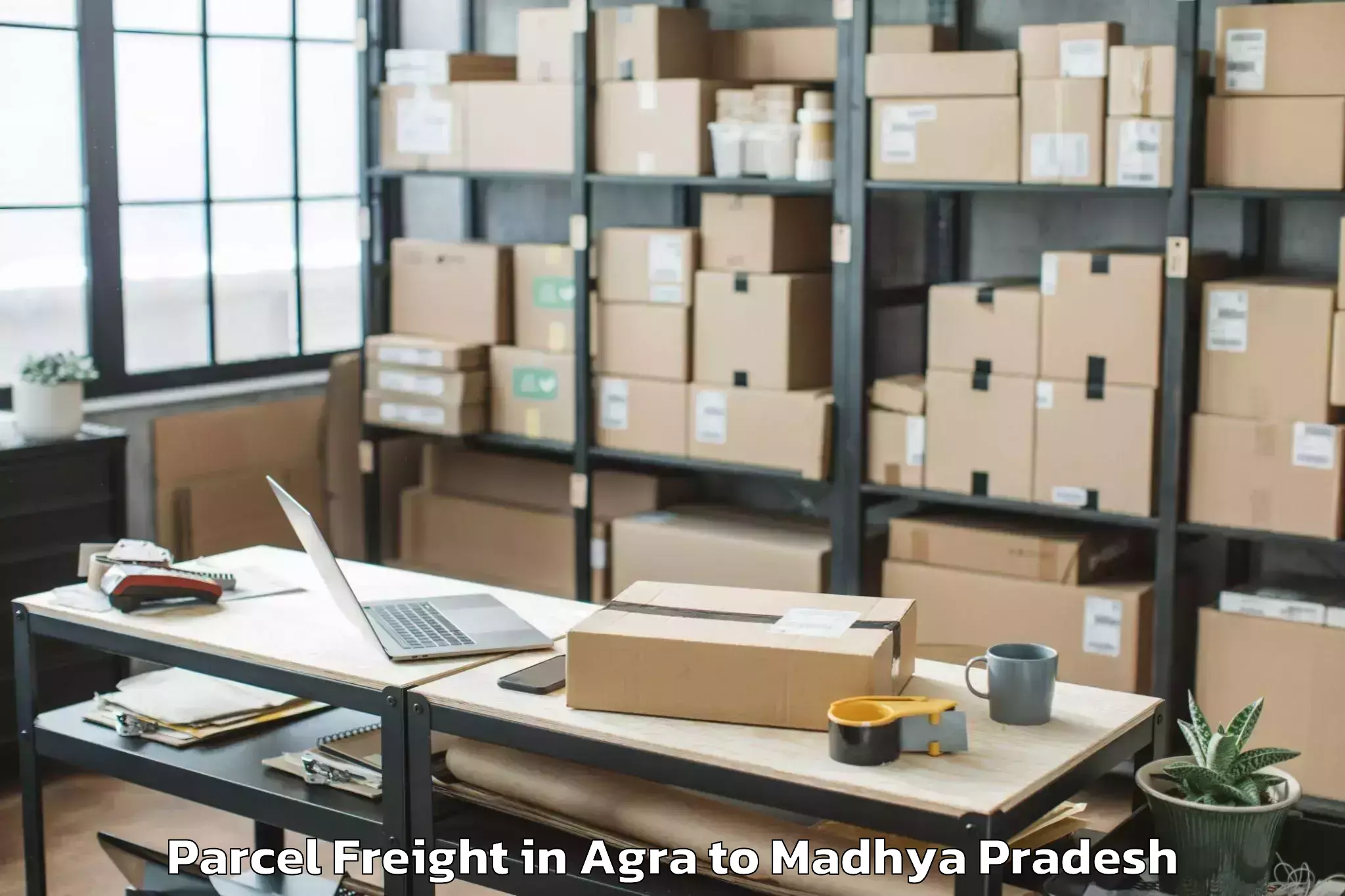 Book Agra to Machalpur Parcel Freight